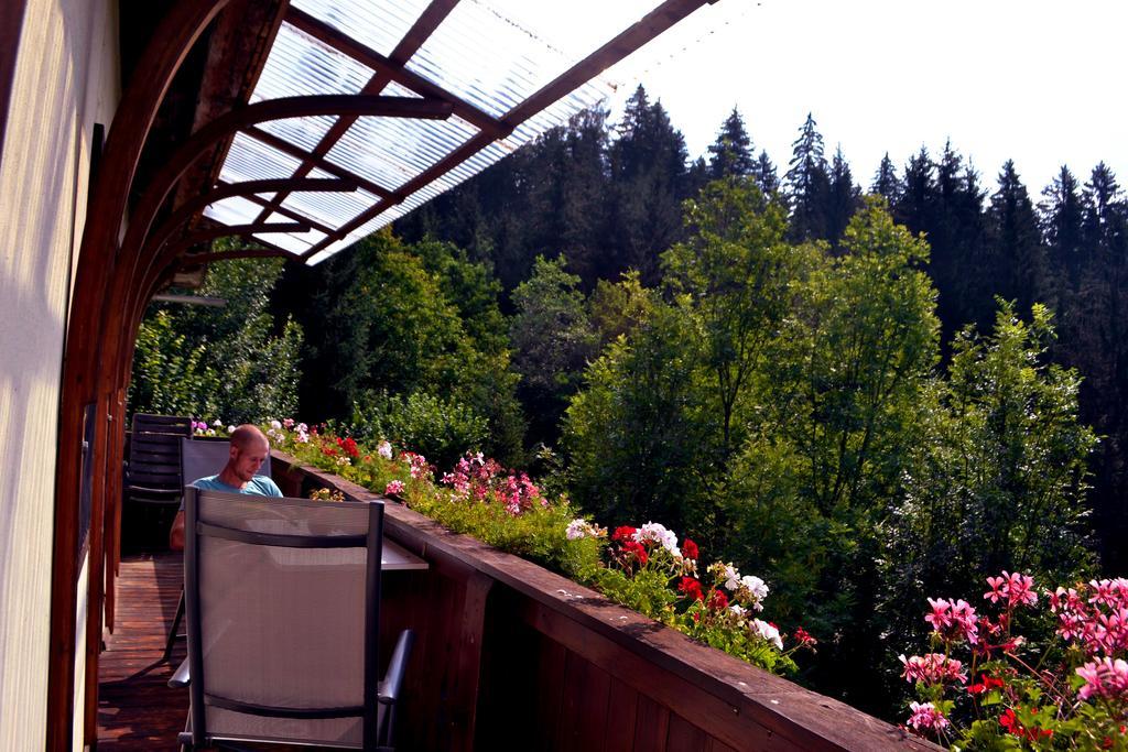 Haus Tonelehof Appartement Dellach im Drautal Buitenkant foto